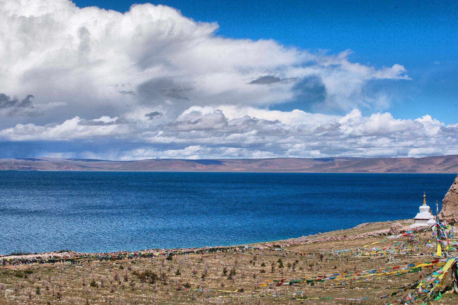 西藏,历史、文化与自然环境的深度探索