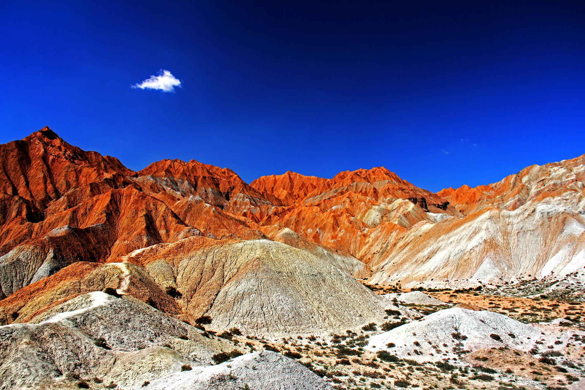 高原绿韵，青海绿色发展新典范